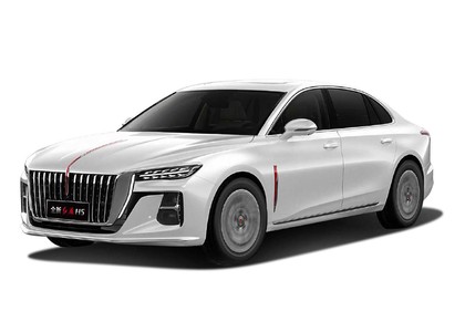 Коврики на Hongqi H5 II 2022 - 2025 в Новороссийске