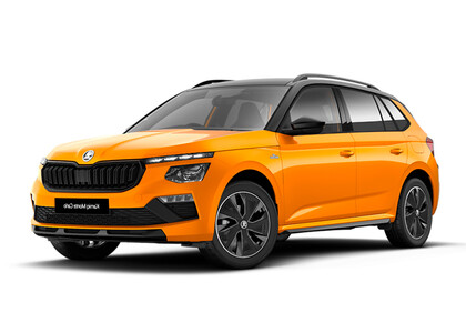 Ворсовые коврики на Skoda Kamiq (Европа) 2019&nbsp;-&nbsp;2026 в Новороссийске