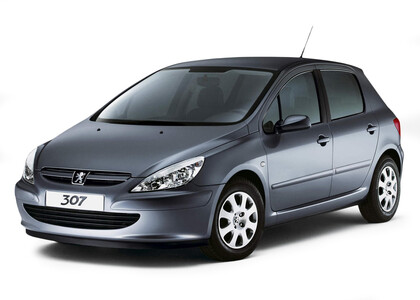 Ворсовые коврики на Peugeot 307 2001 - 2008 в Новороссийске