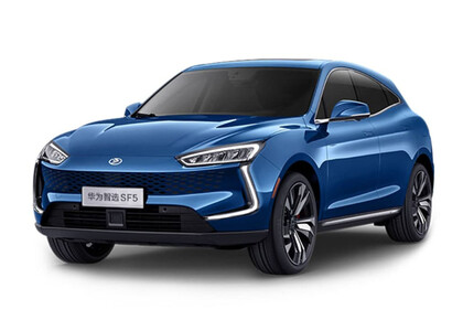 Ворсовые коврики на Seres SF5 2019&nbsp;-&nbsp;2022 в Новороссийске