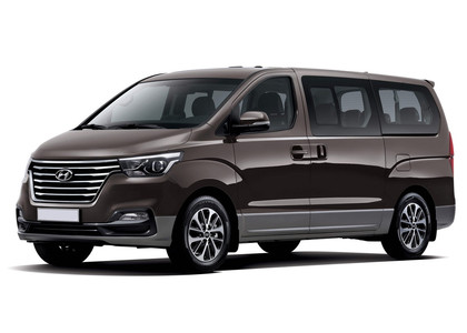 Ворсовые коврики на Hyundai H1 II 2007 - 2022 в Новороссийске