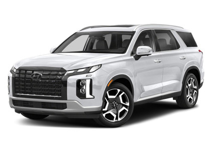 Коврики на Hyundai Palisade 2018 - 2025 в Новороссийске