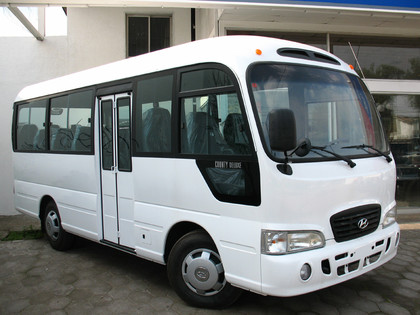 Коврики на Hyundai County 2006 - 2016 в Новороссийске