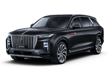 Коврики на Hongqi E-HS9 2022 - 2025 в Новороссийске