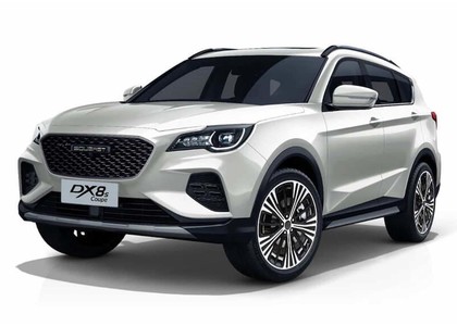 Коврики на Soueast DX8S 2022 - 2025 в Новороссийске