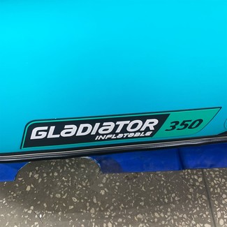 Коврики на Лодки Gladiator E350S  в Новороссийске