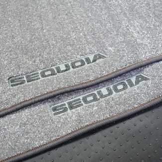 EVA коврики на Toyota Sequoia I 2001 - 2008 в Новороссийске