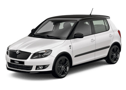Коврики на Skoda Fabia II 2007 - 2015 в Новороссийске