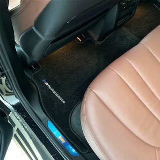 Ворсовые коврики на BMW X5 (G05/G18) 2018 - 2025 в Новороссийске