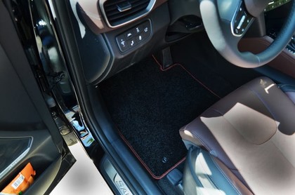 Ворсовые коврики на Hyundai Santa Fe IV 2018 - 2021 в Новороссийске